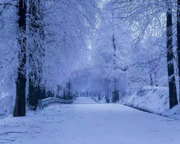 冬天有什么幽默的说说